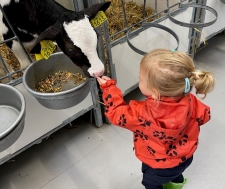 kalfje zeeland met Puk